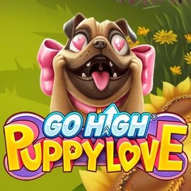 Go High Puppy Love casino game by RubyPlay – featured logo at MrPacho Casino